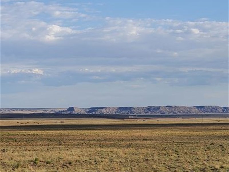 One Acre Near Petrified Forest : Puerco : Apache County : Arizona