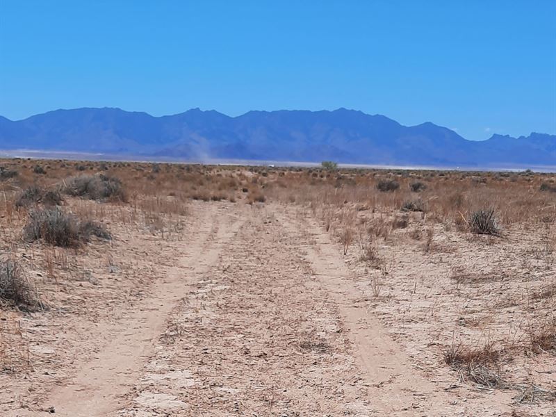 2.5 Acres in Lake Mead Rancheros : Kingman : Mohave County : Arizona