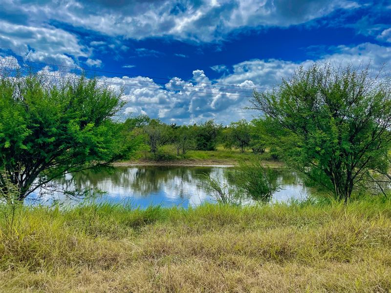 Acreage, Pond, Near Austin : Land for Sale in Kingsbury, Guadalupe ...