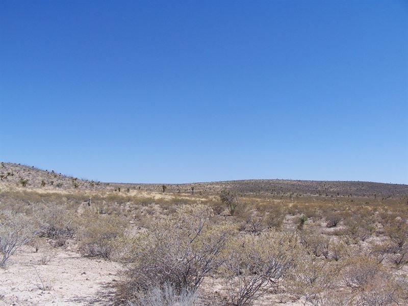 Leave The City Behind for $289 Now : Sierra Blanca : Hudspeth County : Texas