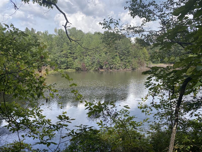 Beautiful 76 Acres with Nice Pond, Land for Sale in 292789