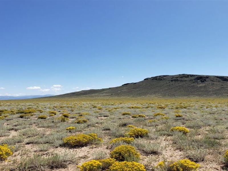 Mount Blanca Valley Ranches : Blanca : Costilla County : Colorado