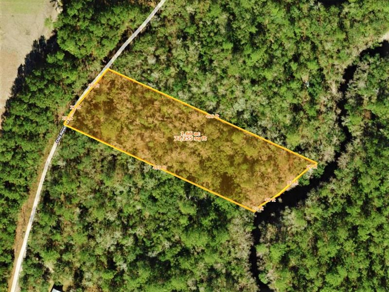 Rural Lot with River Access : Sopchoppy : Wakulla County : Florida