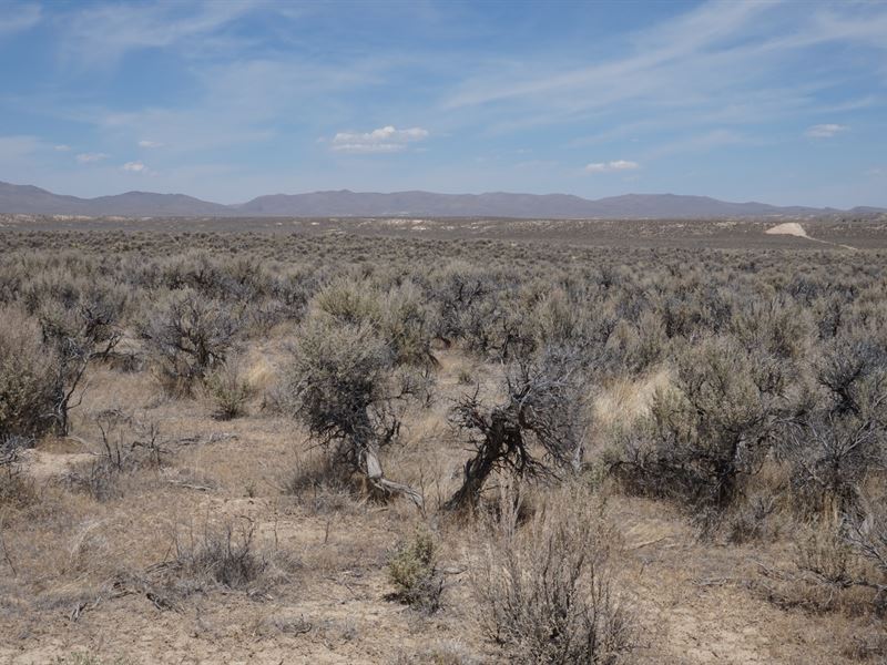 Great Access, Just Off The Highway : Ryndon : Elko County : Nevada