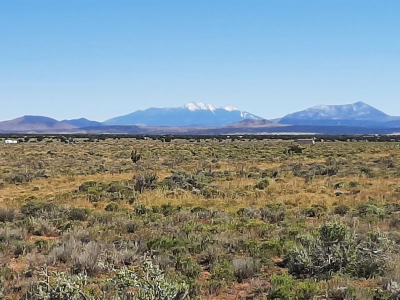 1.06 Ac Lot in Coconino County : Williams : Coconino County : Arizona