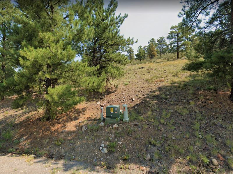 Quiet Mountain Lot, Fsbo : South Fork : Rio Grande County : Colorado