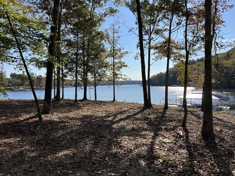 186-acres-on-smith-lake-land-for-sale-in-arley-winston-county