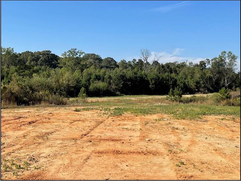 80.5 Acres in Madison County in Rid : Ridgeland : Madison County : Mississippi