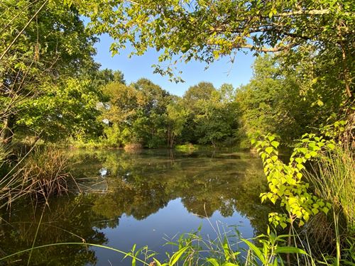 Texas Waterfowl Land for Sale : Page 2 of 3 : LANDFLIP