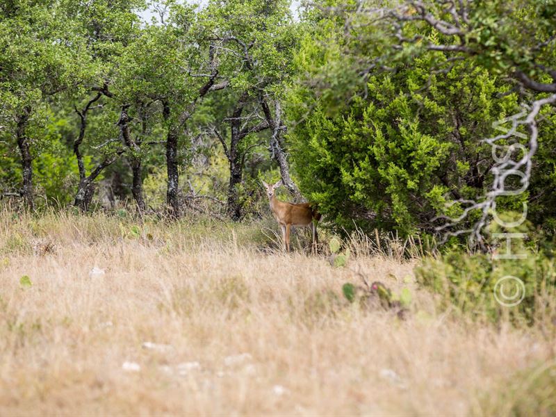 Liberty Ranch, Lot 39 : Menard : Schleicher County : Texas