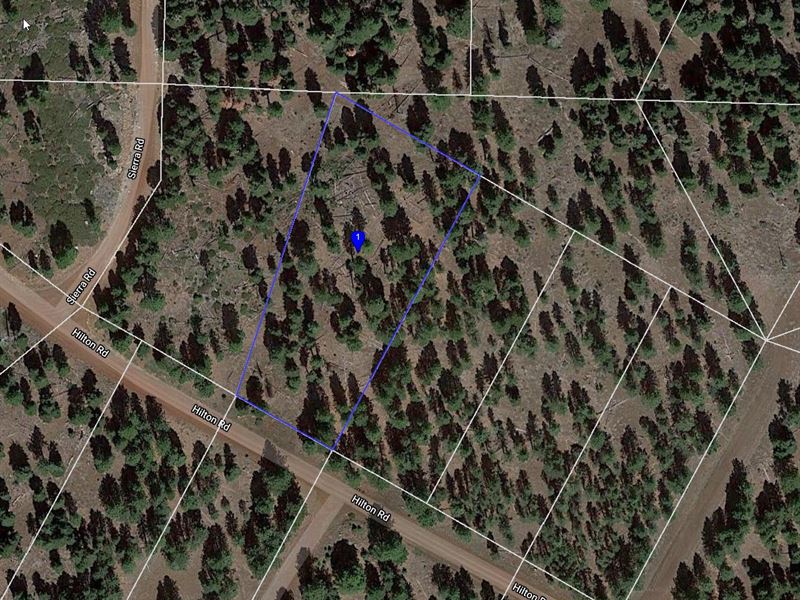 1.17 Acres in California Pines : Adin : Modoc County : California