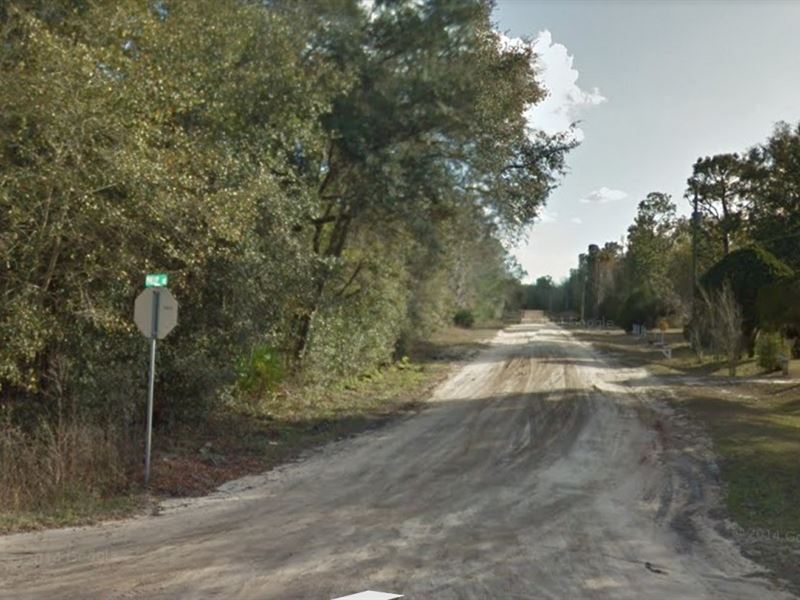 Double Lot, Tiny Homes Allowed : Interlachen : Putnam County : Florida