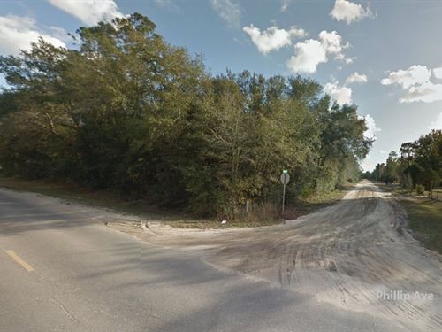 Florida Hunting Land for Sale : LANDFLIP