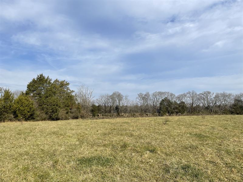 Beautiful Gently Rolling Acreage : Land Auction in Decatur, Meigs ...