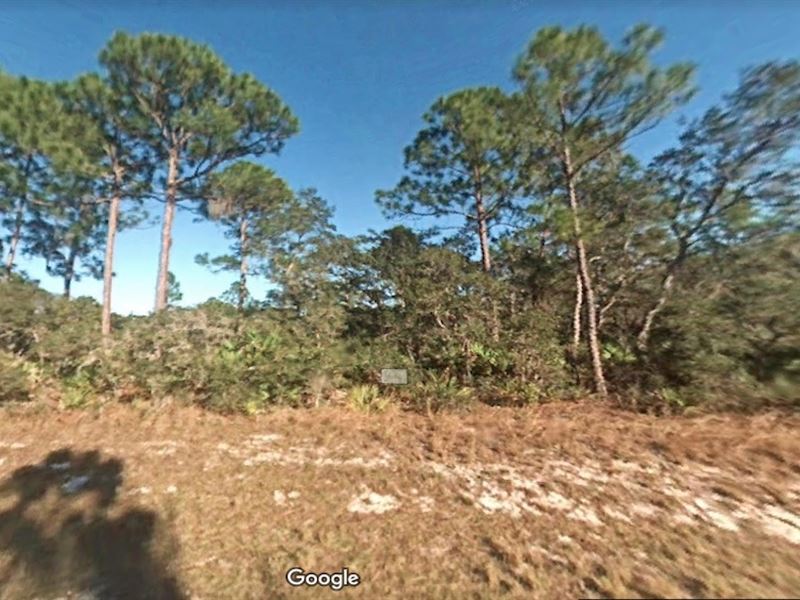 Leisure Lake Lot Priced to Sell : Lake Placid : Highlands County : Florida