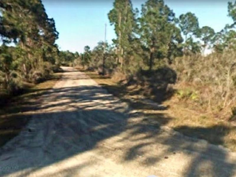 Double Lot in Lake Placid : Lake Placid : Highlands County : Florida