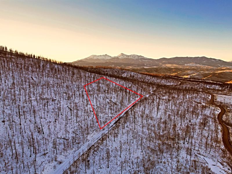 2.96 Ac Forbes Park, Co, $49 Down : Fort Garland : Costilla County : Colorado