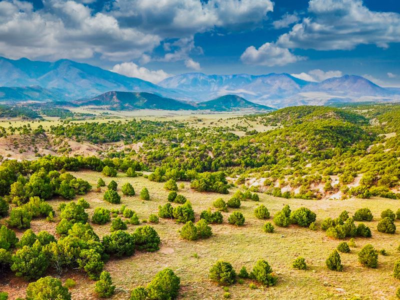 Hunting Land with Mountain Views : Walsenburg : Huerfano County : Colorado