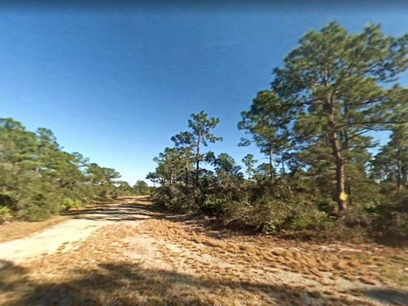 Country Road Minutes From Town : Lake Placid : Highlands County : Florida