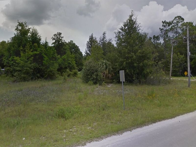 .5 Ac Corner Cross City Lot, Power : Cross City : Dixie County : Florida