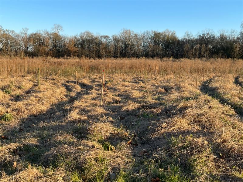 La, Richland 5.4 Acre Lot : Archibald : Richland Parish : Louisiana