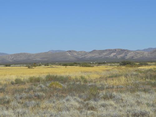 Arizona Land for Sale : LANDFLIP