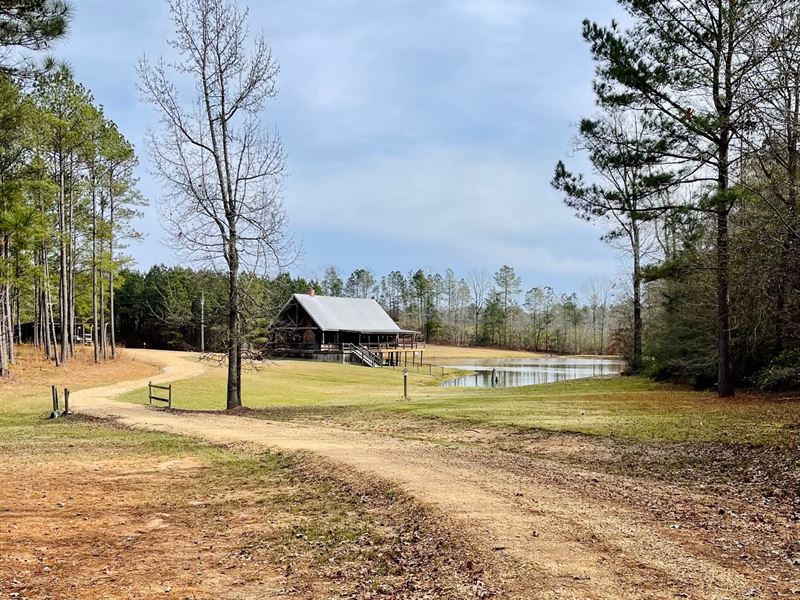 Cabin and 80 Acres Pinola, MS, Land for Sale in Mississippi, #304036 ...