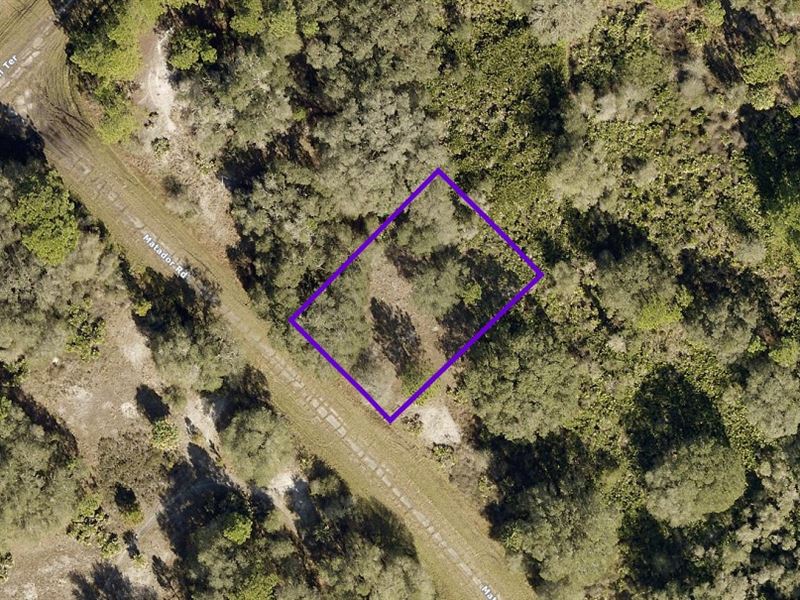 North Port, Lovely Homesite : North Port : Sarasota County : Florida