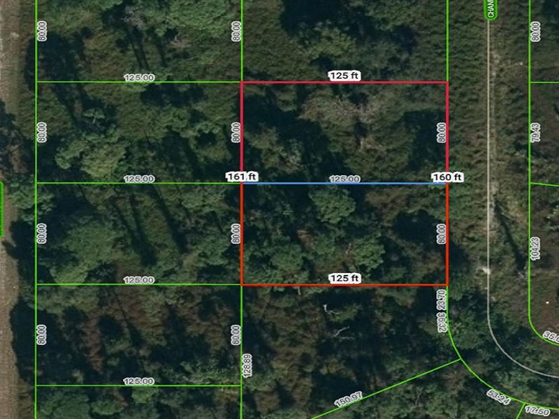 Adjacent Lots in Lovely Lake Placid : Lake Placid : Highlands County : Florida