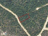 Compass Lakes 1+ Acre Lot : Alford : Jackson County : Florida
