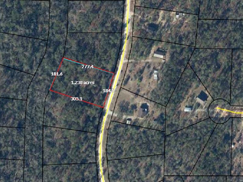 Homesite in Lake Community : Alford : Jackson County : Florida