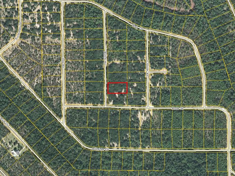 Compass Acre Lot Awaits Your Vision : Marianna : Jackson County : Florida