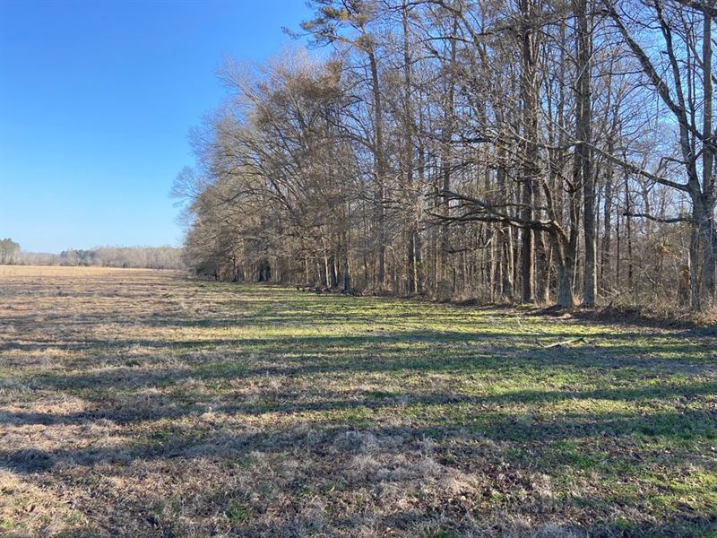 Ms, Warren 336 Acres : Vicksburg : Warren County : Mississippi