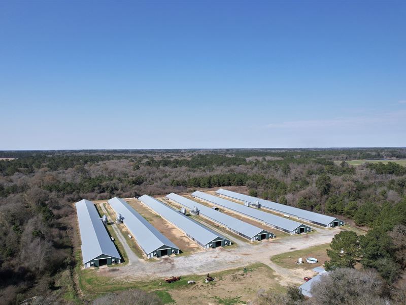 6 House Broiler Poultry Farm : Hartsfield : Colquitt County : Georgia