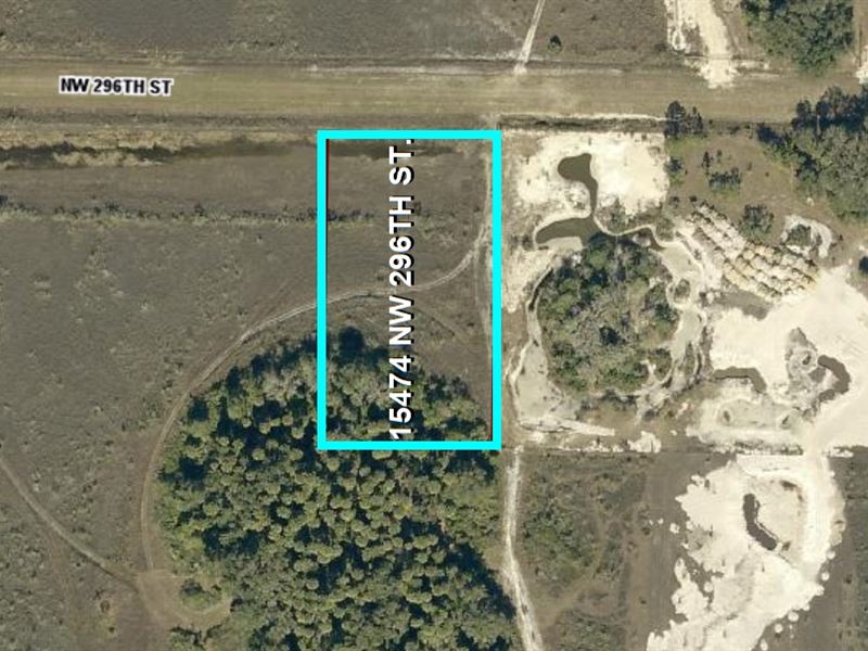 Land for Small Homestead : Okeechobee : Okeechobee County : Florida