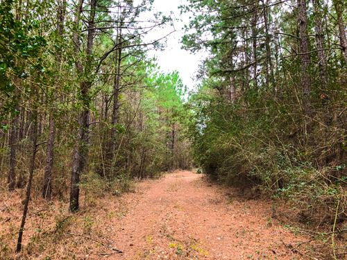 Tyler County Texas Land for Sale : Page 4 of 5 : LANDFLIP