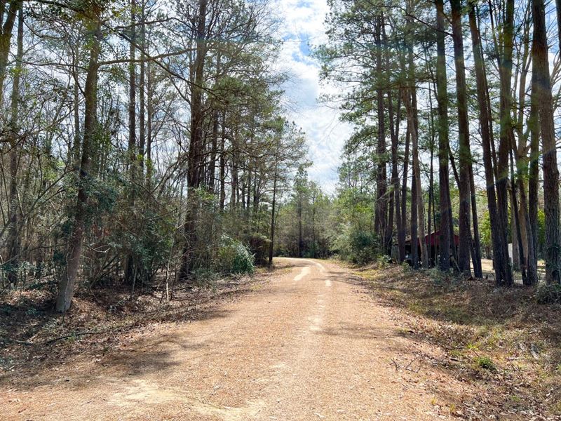 21 Acres, T-1 FM 1746 : Town Bluff : Tyler County : Texas