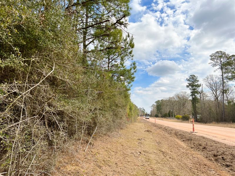 30 Acres, T-14 FM 1746 : Town Bluff : Tyler County : Texas