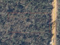 Acre in Compass Lake in The Hills : Alford : Jackson County : Florida