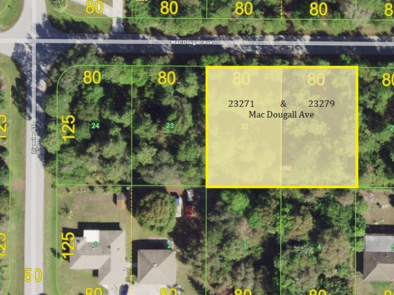 Drastic $7K Reduction Double Lot : Port Charlotte : Charlotte County : Florida