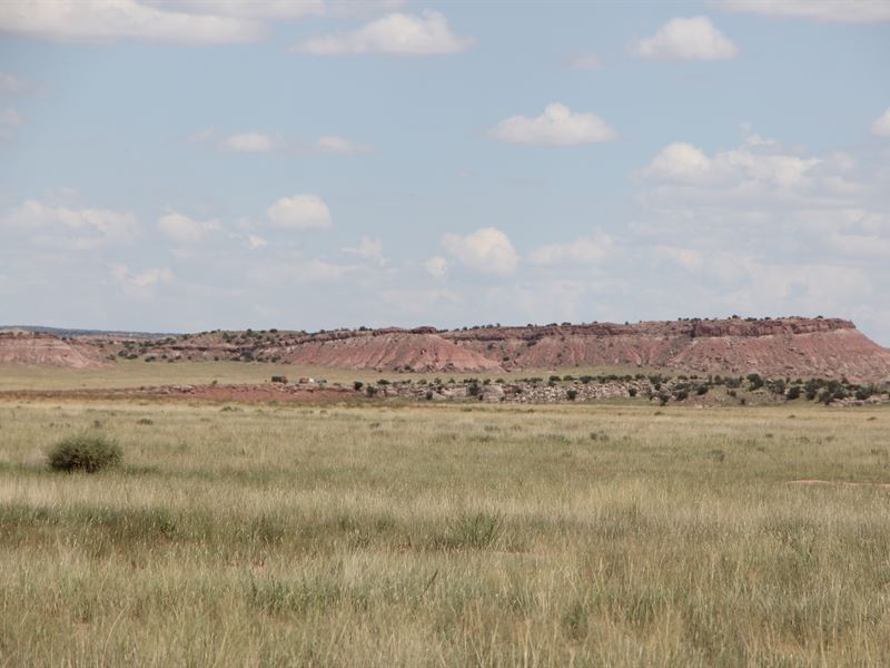 Northern Arizona Ranch Best Buy : Saint Johns : Apache County : Arizona