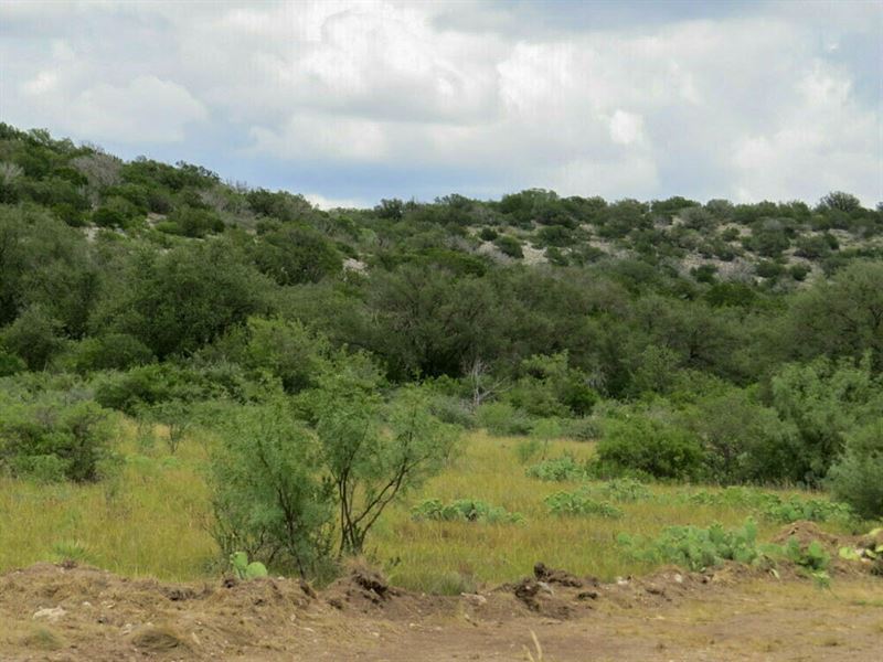 Newby Hills North Ranch, Lot 11 : Rocksprings : Edwards County : Texas