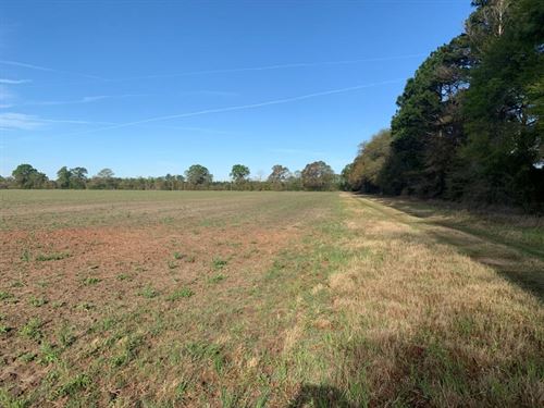 Bulloch County Georgia Land for Sale - landflip