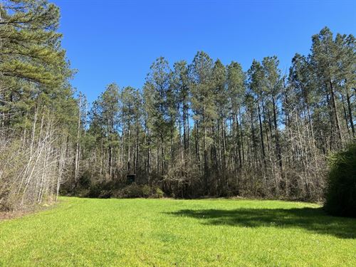 Perry County Alabama Minerals Land For Sale - LANDFLIP