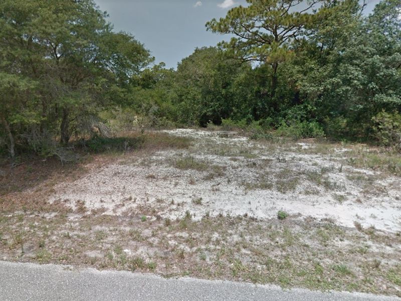 Dry and Level Lot in Leisure Lakes : Lake Placid : Highlands County : Florida