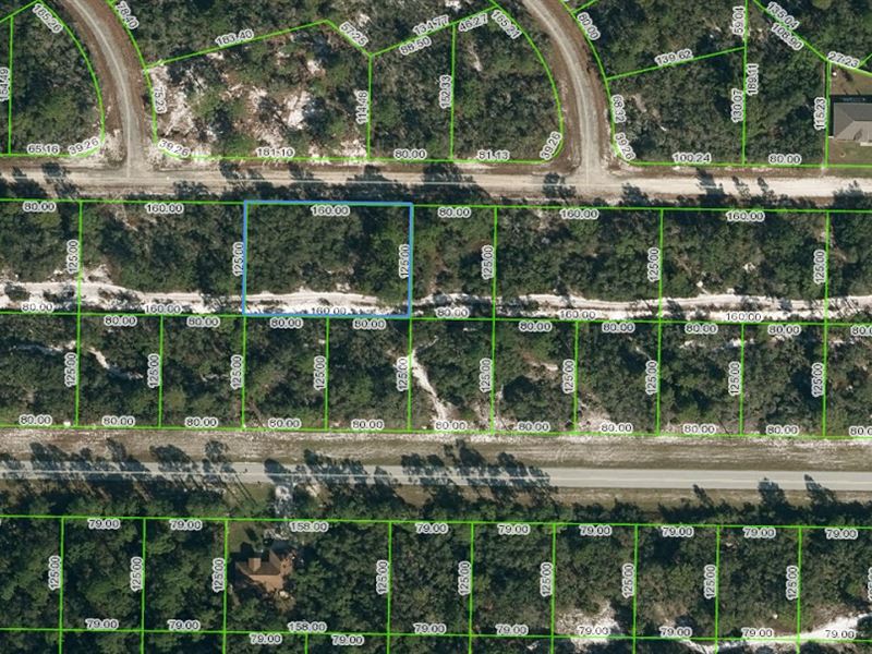 Oversized Lot in Lake Placid : Lake Placid : Highlands County : Florida