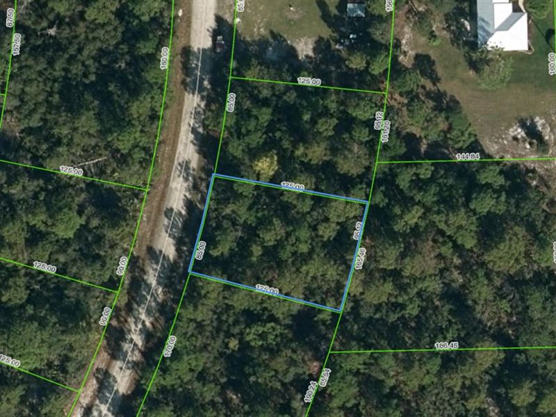 Beautiful Homesite in Leisure Lakes : Lake Placid : Highlands County : Florida