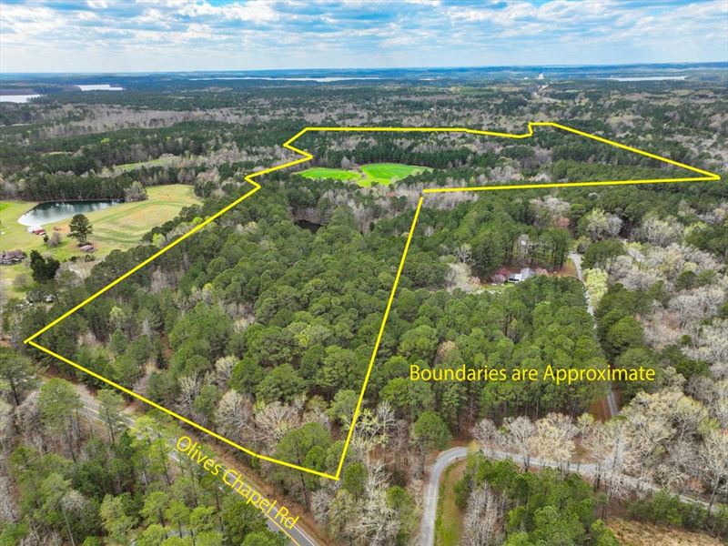 Stunning Lg. Acreage, Park Setting : Apex : Chatham County : North Carolina