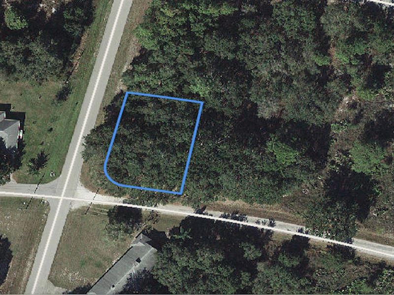 Premium Corner Lot by Lake Carrie : Lake Placid : Highlands County : Florida