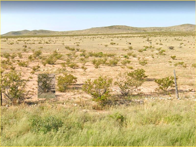 Hudspeth County Land is Calling You Land for Sale by Owner in